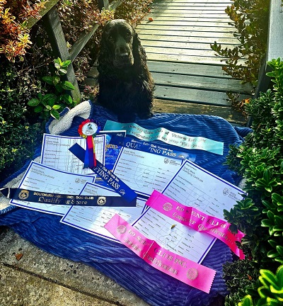 Raven with her many awards